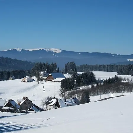 Haus Janssen-wehrle *